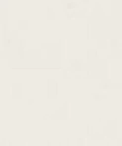 Budget ✨ STARGAZER Stargazer White | PRESSED POWDER ⭐ -Halloween Item Store 563 0white 1 700x700