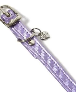 Promo ❤️ 6%DOKIDOKI Kawaii Honey Kitty [Lavender] | CHOKER 🔥 -Halloween Item Store 6 dokidoki honey kitty lavender choker 3 a1ddbdad 64cb 4f1e 898f cb491fd9acd3 700x700