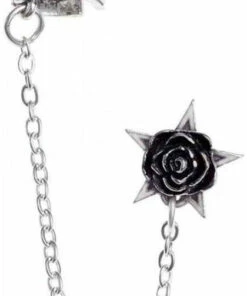 Best Sale 💯 ALCHEMY GOTHIC Pentacles & Pentagrams Rosa Nocta | EARCUFF 🧨