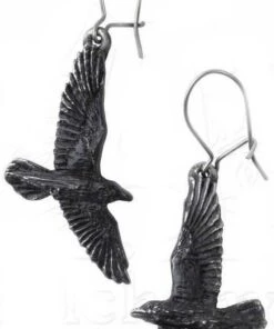 Best Pirce 🛒 ALCHEMY GOTHIC All Black Raven | EARRINGS` ✔️