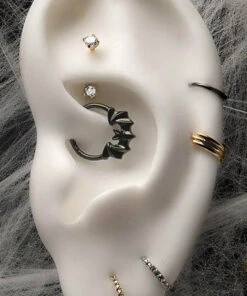 Wholesale 🥰 BODYVIBE Bats Batty [Black] | SEPTUM CLICKER ⌛ -Halloween Item Store bodyvibe batty black septum clicker 7 700x700