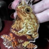 New ✔️ HOUSE OF HEX All Ophelia The Toad | KEYCHAIN ✔️ -Halloween Item Store house of hex frog keychain 1 8a2ef234 7773 43c0 9e9e d0fe2fc10b1e 700x700