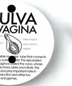 Flash Sale 🔥 I HEART GUTS! All Hooray For The Vajayjay | PIN ⌛ -Halloween Item Store i heart guts vagina vulva lapel pins 5 pack 4 00c94741 5b5e 43dc 82a5 6470124d792c 700x700