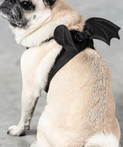 Buy ⭐ KILLSTAR Cats Flutter | PET HARNESS ✔️ -Halloween Item Store killstar flutter pet harness 3 cf4a0c0f 393b 4f2d 8720 91b96085bfde 700x700