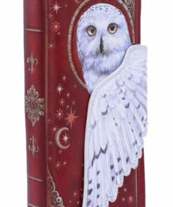 Deals ⌛ NEMESIS NOW The Moon Magical Flight | EMBOSSED PURSE 🧨 -Halloween Item Store nemesis now magical flight embossed purse 4 95929797 968d 4dd5 90a5 3c9bc7ae6073 700x700