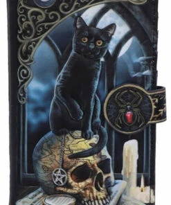 Buy ✔️ NEMESIS NOW All Spirits Of Salem | EMBOSSED PURSE` 🤩 -Halloween Item Store nemesis now spirits of salem embossed purse 1 dd69932a 304e 4713 8d03 21e6b89c1304 700x700