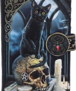 Buy ✔️ NEMESIS NOW All Spirits Of Salem | EMBOSSED PURSE` 🤩 -Halloween Item Store nemesis now spirits of salem embossed purse 6 cad5eef9 928d 42bb 9721 6fc6f8ee2b46 700x700