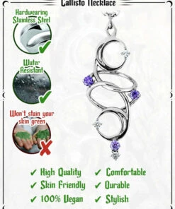 Deals 🎁 ROGUE AND WOLF The Moon Callisto [Mirror Steel] | NECKLACE 🎉 -Halloween Item Store rogue and wolf callisto mirror steel necklace 9 1dfe0c33 3366 4e79 8b0b 8d77468db52e 700x700