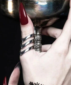 Coupon ⭐ ROGUE AND WOLF All Chase [Mirror Steel] | RING 🥰 -Halloween Item Store rogue and wolf chase mirror steel ring 3 afbd5436 9866 4b59 8363 1a5ed0fdb0cb 700x700